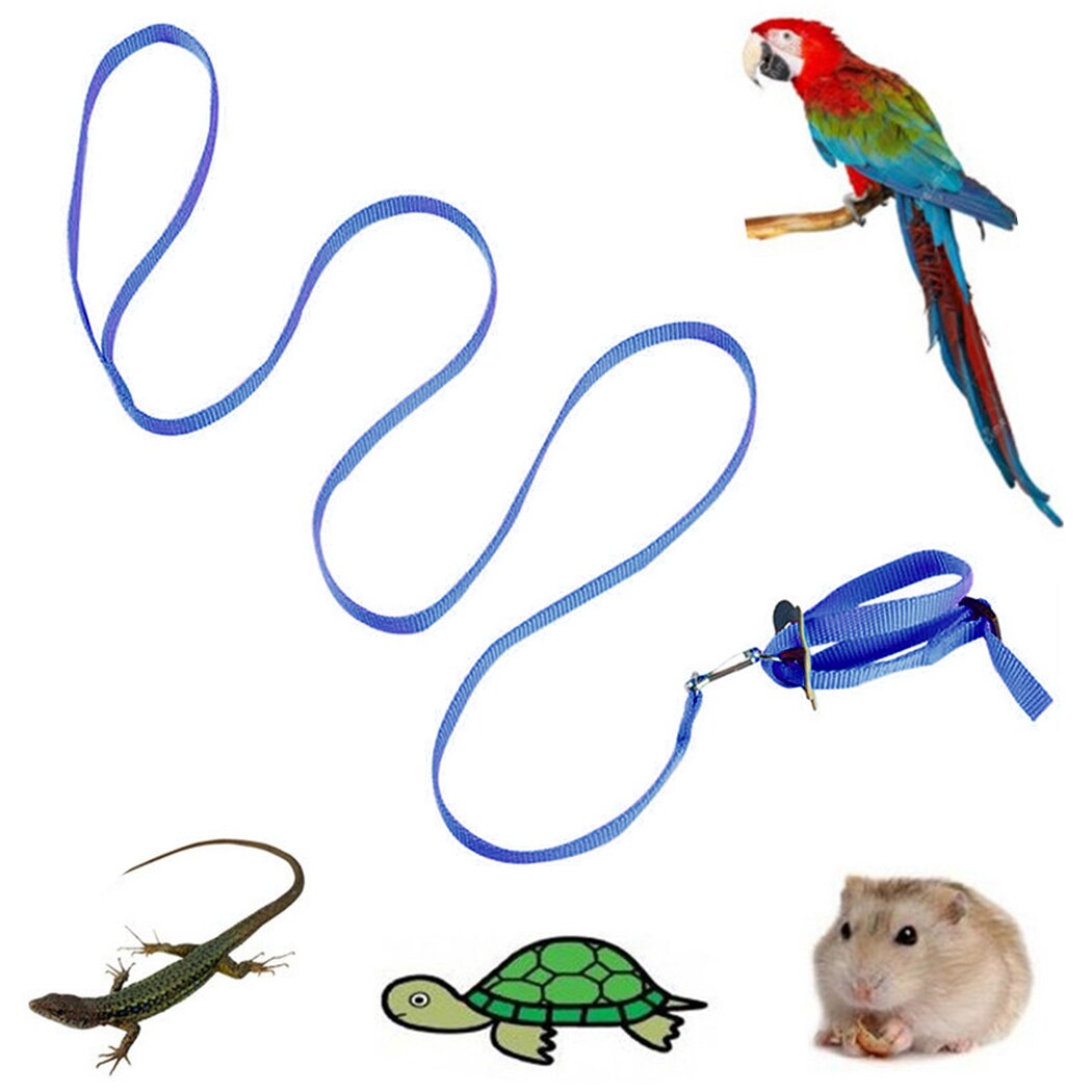 1 pièces harnais pour oiseaux laisse Nylon réglable perroquet harnais laisse fournitures pour oiseaux perroquet oiseau AntiBite en plein air harnais de vol: Blue