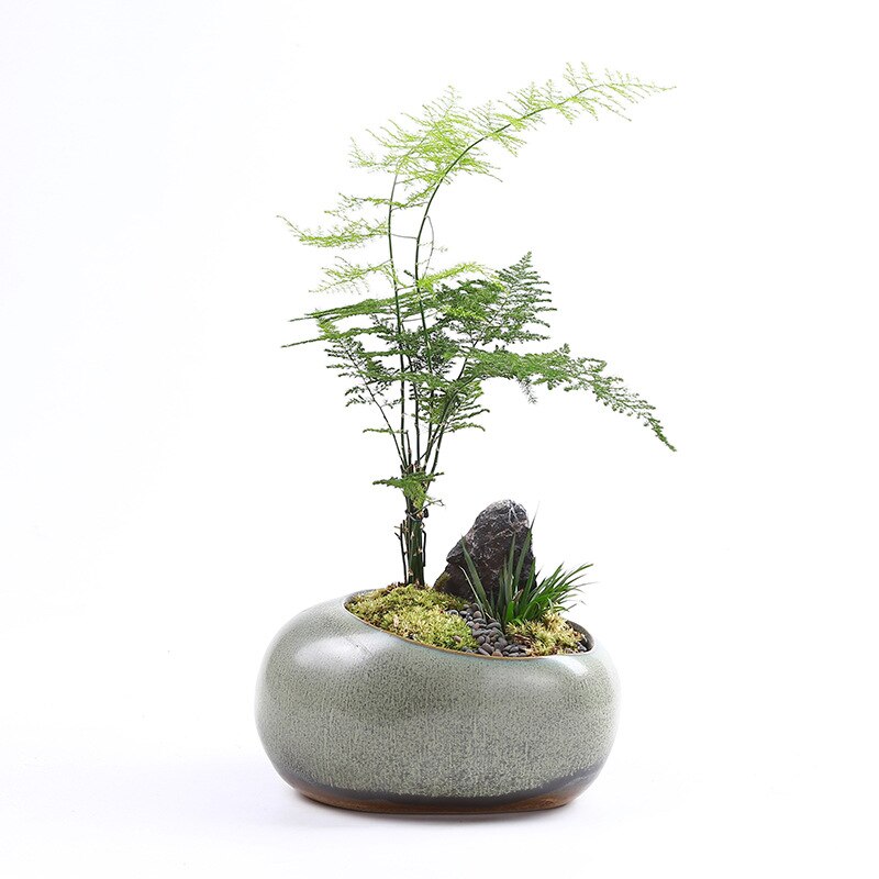 Maceta pequeña de cerámica Retro Para el hogar, maceta creativa de escritorio para plantas verdes suculentas Wenzhu, utensilios de jardín chino hechos a mano