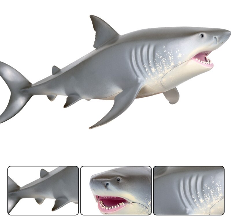 Grote Witte Zee Leven Shark Megalodon Tiger Shark Oceaan Dier Figuur Collector Speelgoed Onderwijs Onderwijs