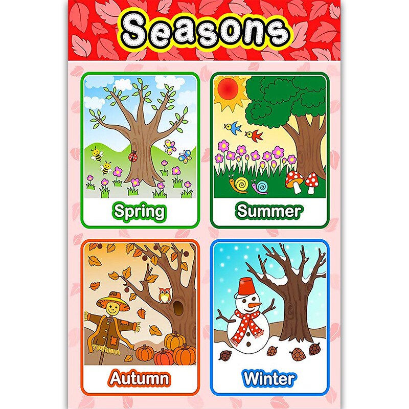 Educational Preschool Posters Charts for Preschoolers Toddlers Kids Kindergarten Classrooms: 13