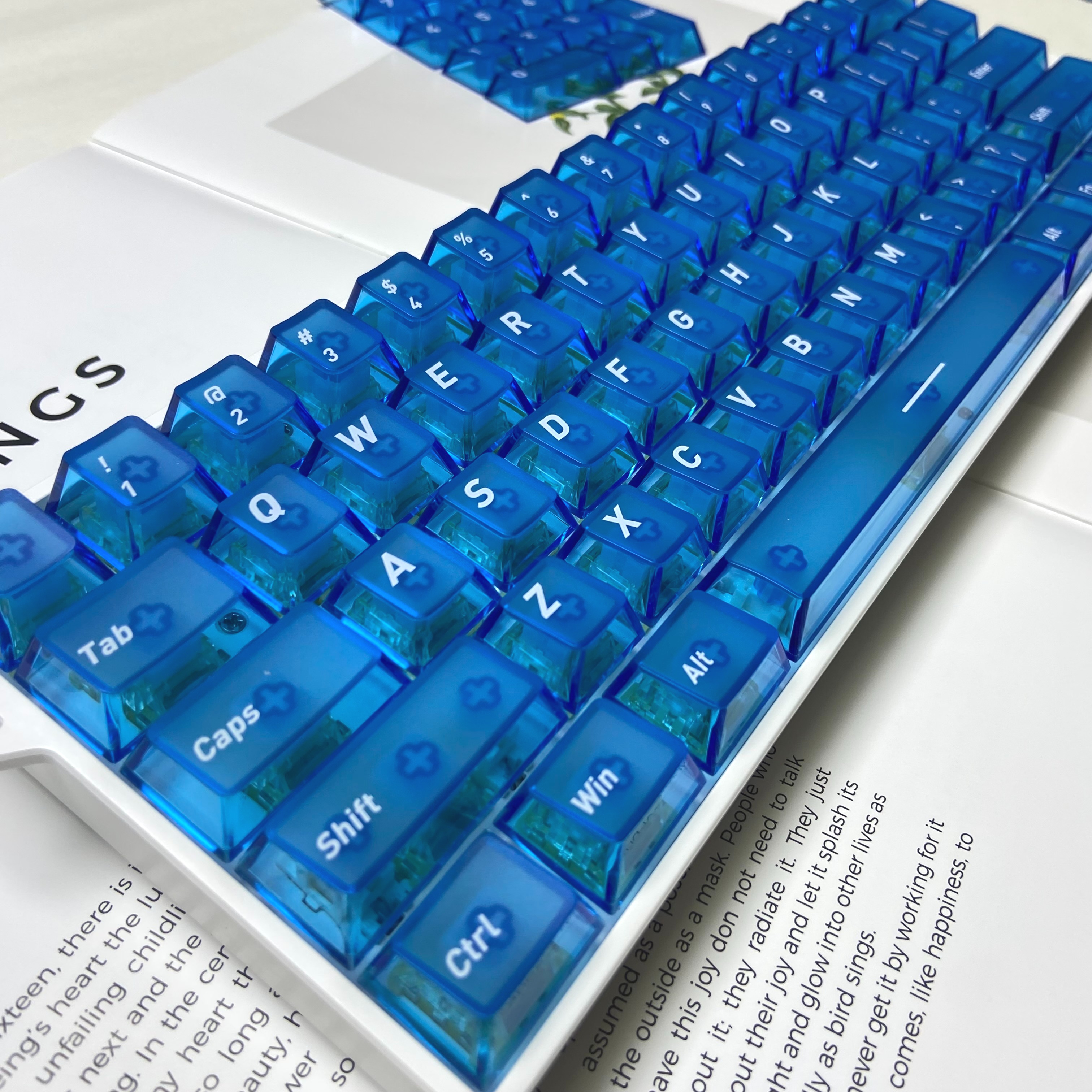 Front Matte Finish Keycaps Sides Translucent Cherry Profile PC Keycaps for Gaming Mechanical Keyboard Key Caps Custom Keyboard