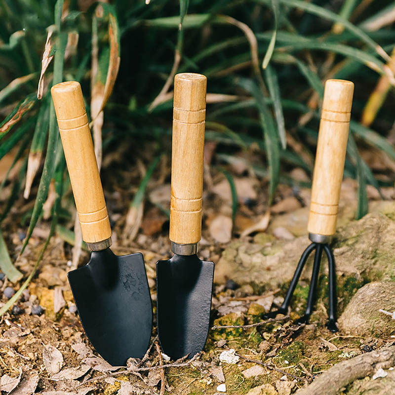 Juego de Herramientas de jardín de espátula en maceta, juego de herramientas para plantar, herramientas de jardinería, pala de tres piezas para el hogar