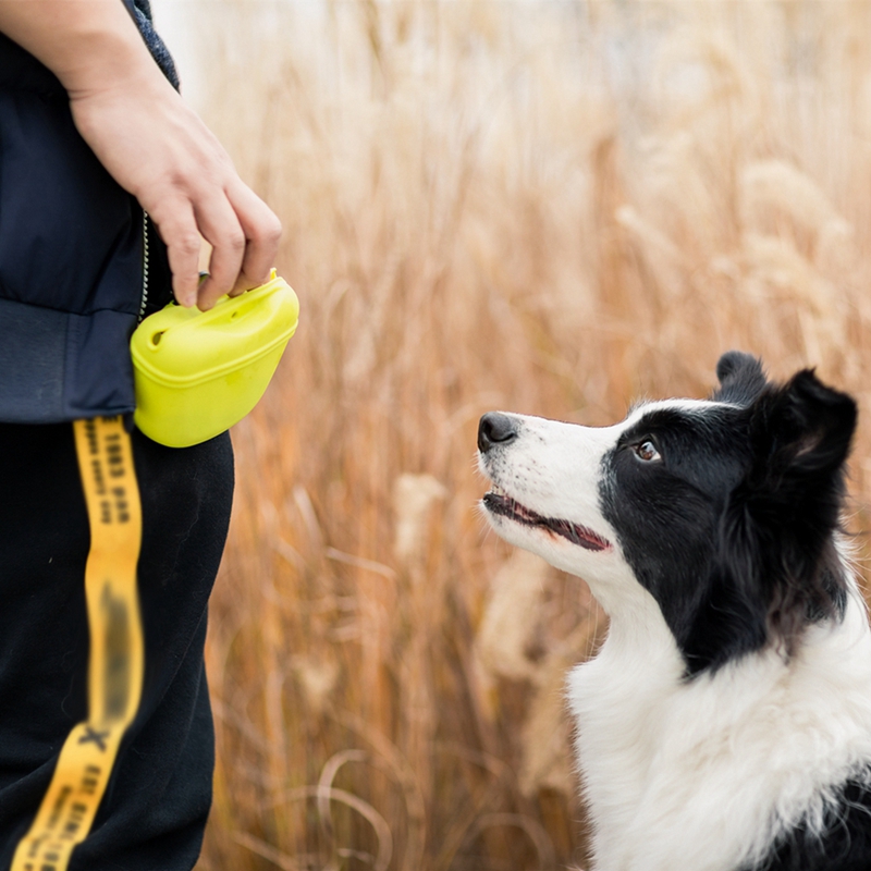 Haustier Tragbare Hund Ausbildung Taille Tasche Behandeln Snack Köder Hunde Gehorsam Beweglichkeit draussen Futtermittel Lager Beutel Lebensmittel Belohnung Taille Taschen