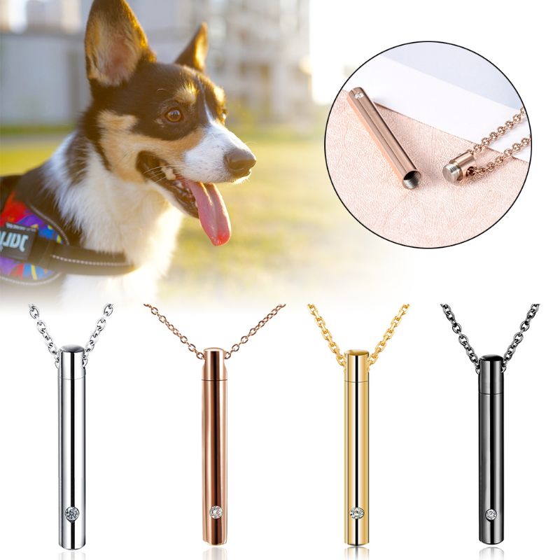 Porte-bijoux cylindrique en acier inoxydable pour animal de compagnie, porte-conteneur commémoratif de cendres, pendentif souvenir commémoratif