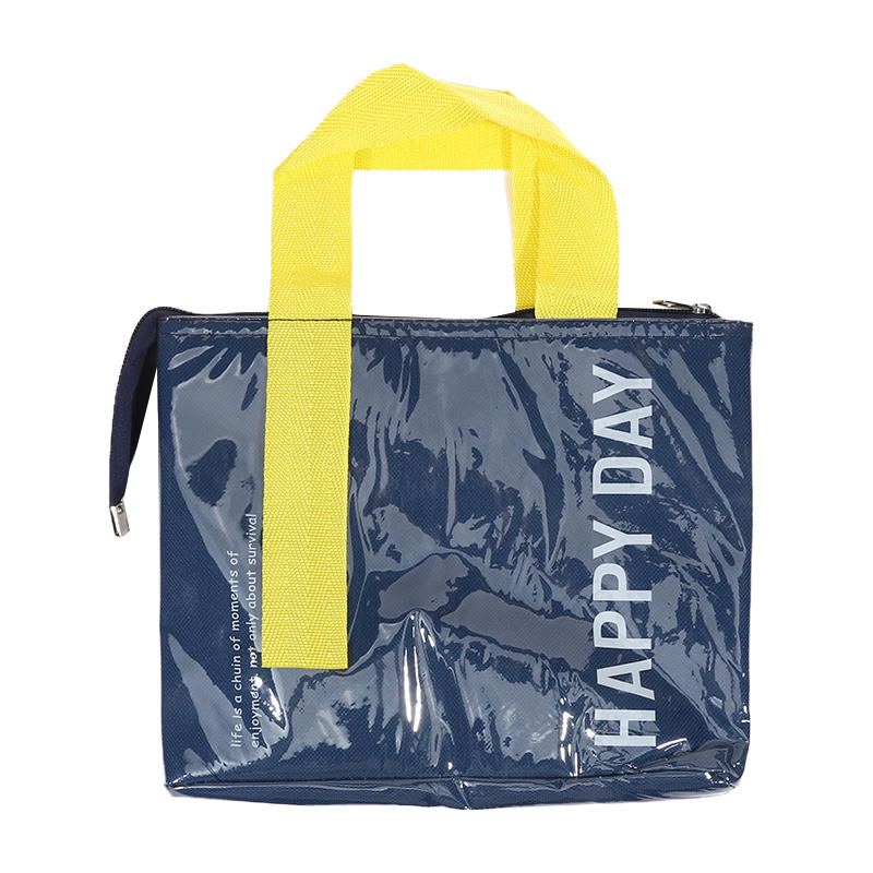 Cute Insulated Lunch Bag Camping Food Drink Cooler Bag Picnic Travel Bag Waterproof Food Storage Box For Student Office Worker: Option 1 / Clear