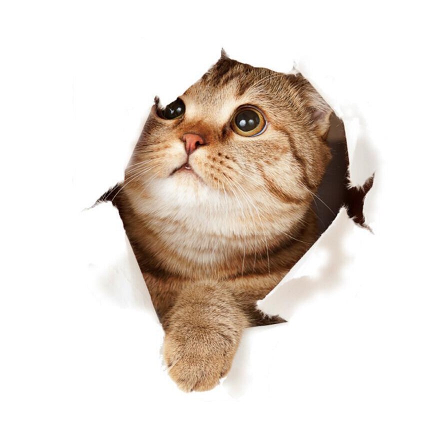 3D Cute Cat Stickers Car Home Bedroom Toilet Kitten Broken Wall Decor Sticker Vinyl Decal Realistic Funny Anima Stickers: 04