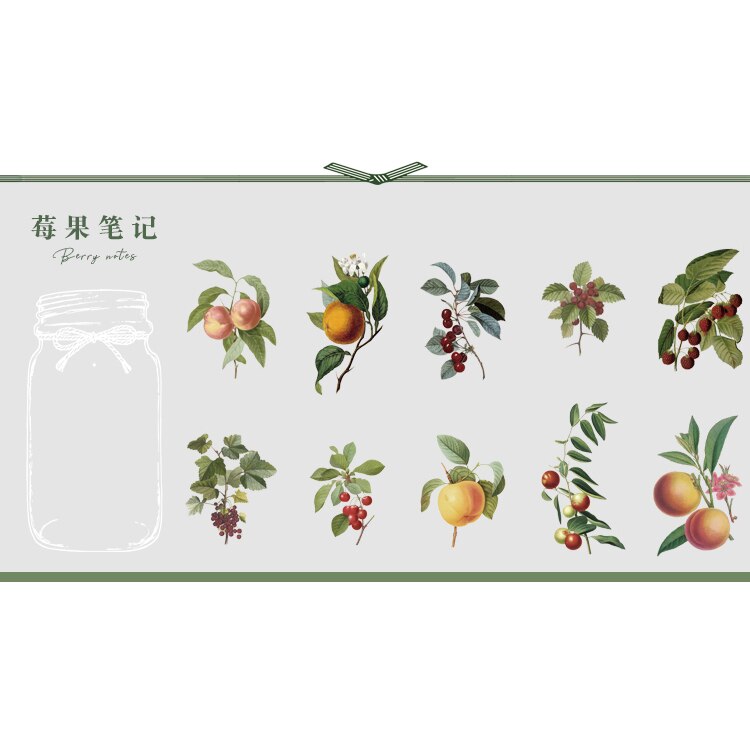 Mohamm 11 stk institut for botanik serie klistermærker dekoration scrapbooking papir stationær skoleartikler: F