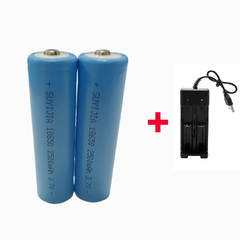 2500mah 18650 Rechargeable Battery with Charger 3.7V Li-ion Batteries for Electric Pointer Doorbell Flashlight Lithium Battery: GRAY