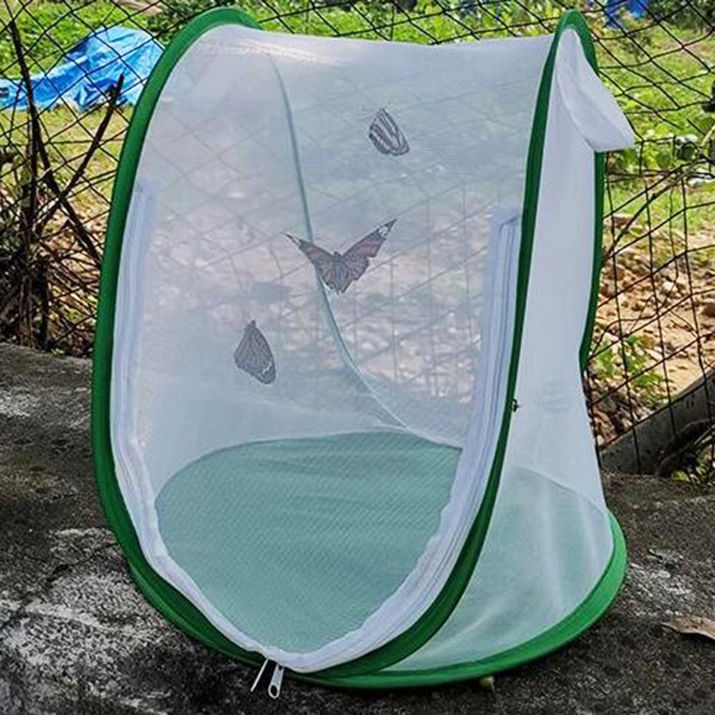 Insect Kooi Opvouwbare Te Dragen Groene Insect Mesh Kooi Terrarium Voor Tuin