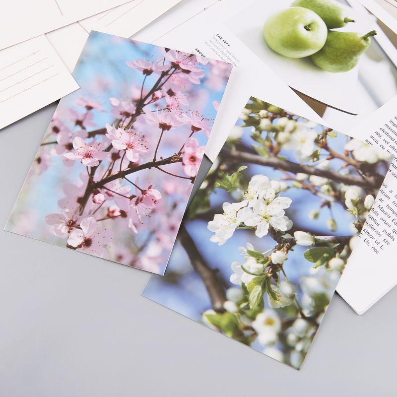 30 Sheets Peach Blossom Paintings Retro Vintage Postcard Christmas Year Card Wish Poster Cards C26
