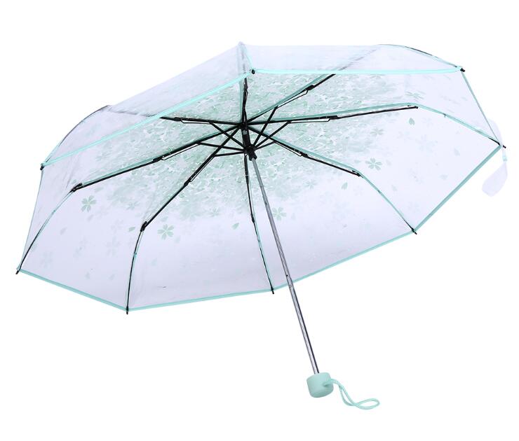 Transparent Folding Women Cherry Blossom Umbrella Fashionable Princess Fold Sun Rain Umbrella: Light Green