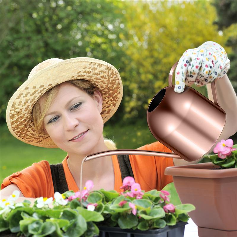 Yardwe 1000ml rega de aço inoxidável pode plantas de interior suculentas bico longo rega pote para jardim em casa escritório (cobre)