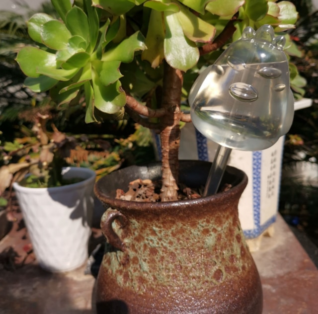 350mL Plant Life Support Drip Irrigation Home/Garden Plant Automatic Self Watering System Equipment for Plant Water: chick