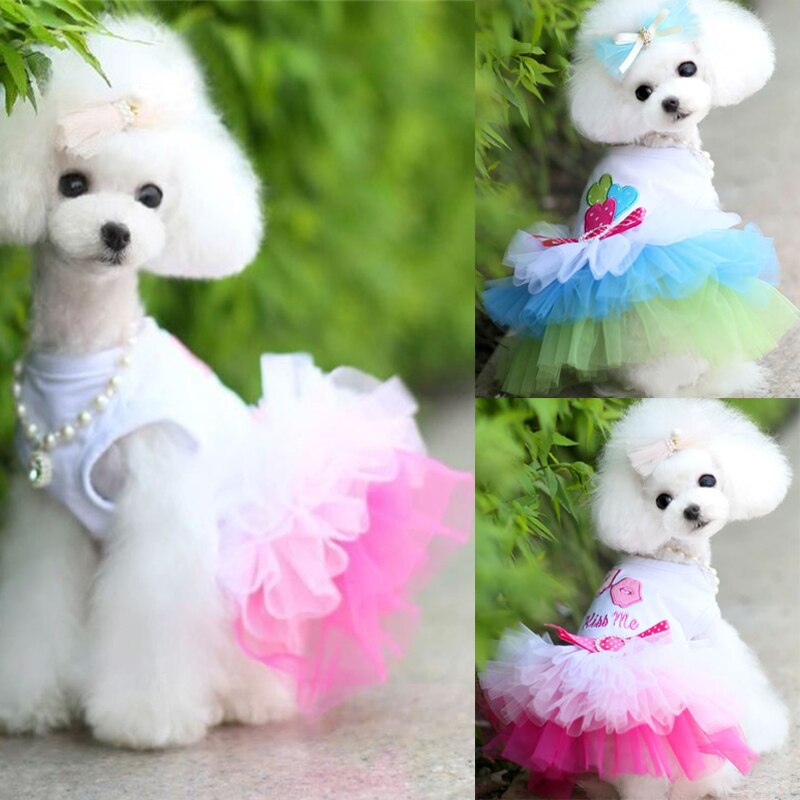 Cute Dog Clothes Small Dog Dress Sweety Princess Dress For Puppy Spring Summer Small Dogs Lace Colorful Clothes Pet Supplies