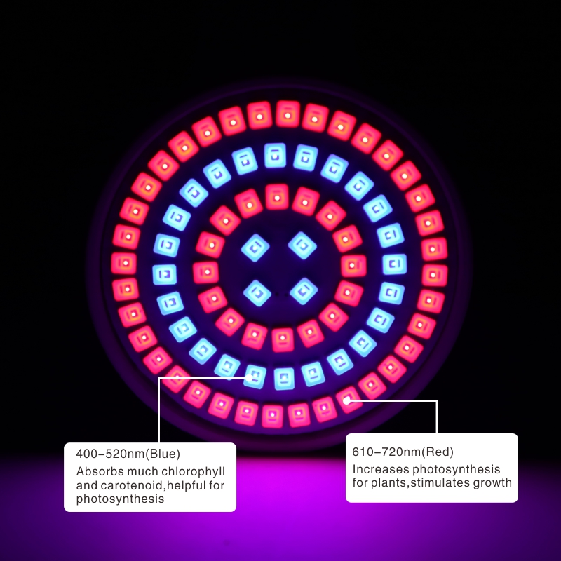 Led grandir ampoule E27 E14 GU10 MR16 B22 220V lampe de croissance 3w 4w 5w spectre complet pour plante de fleurs hydroponique système Aquarium: 48 Leds / E27
