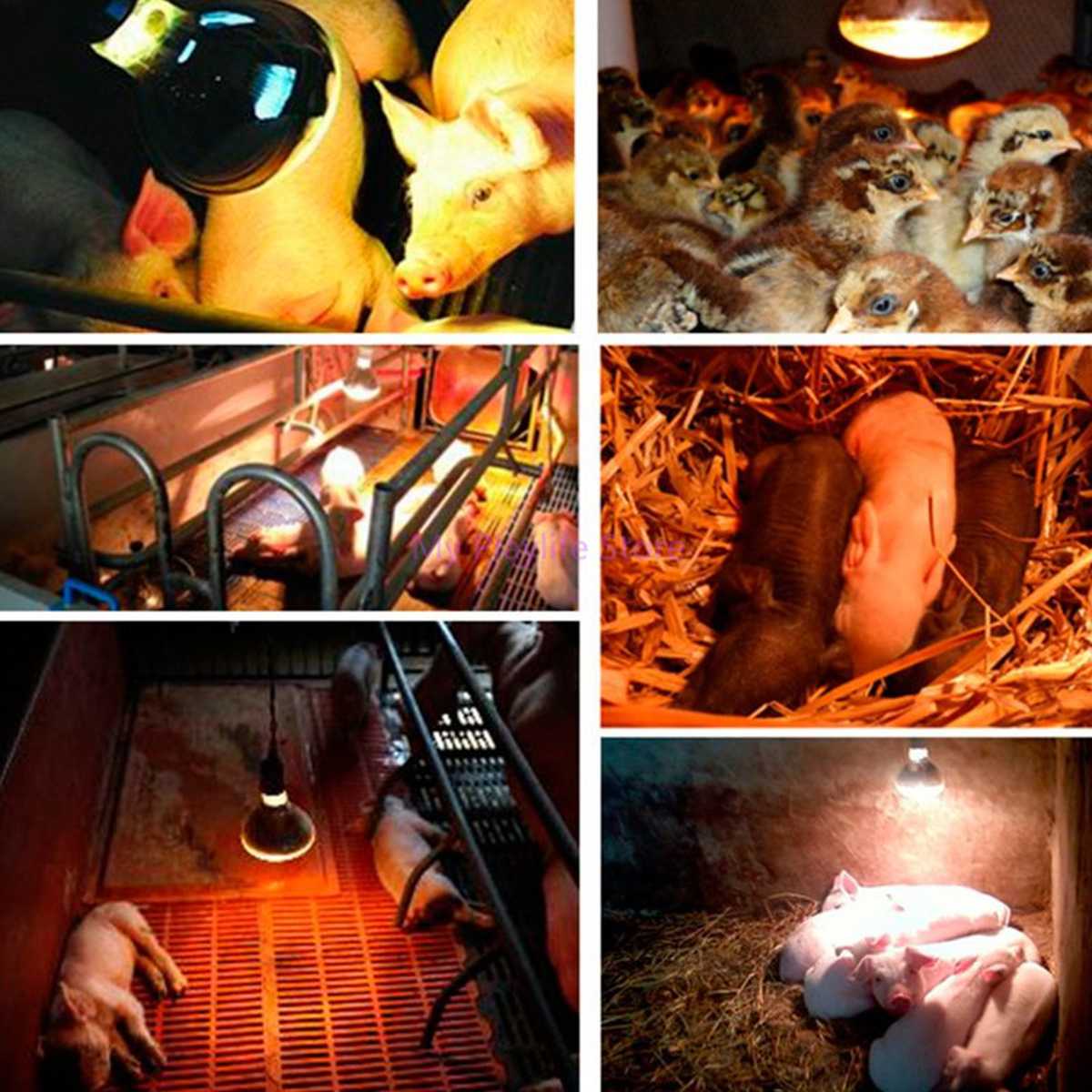 250W Pet Reptile Far Infrared Ceramic Heating Lamp E27 Bulb Animal Habitat Lighting Heat Emitter Light Bulb