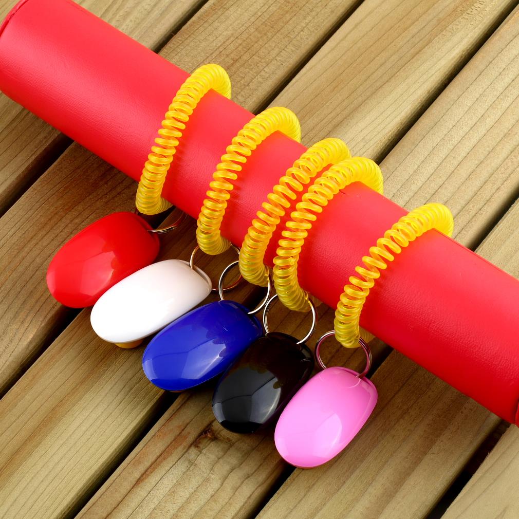 Kæledyrstræner hund undervisning lydighed agility træner hjælp håndledsrem stor fagility kæledyrsforsyning