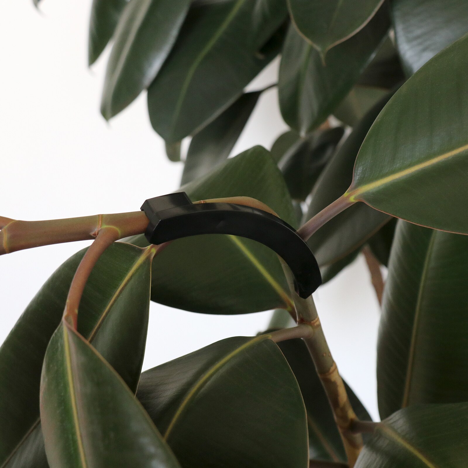 12Pcs 90 Degree Plant Bender for Low Stress Training and Plant Degree Plant Bender Plant Training Curved Plant Holder