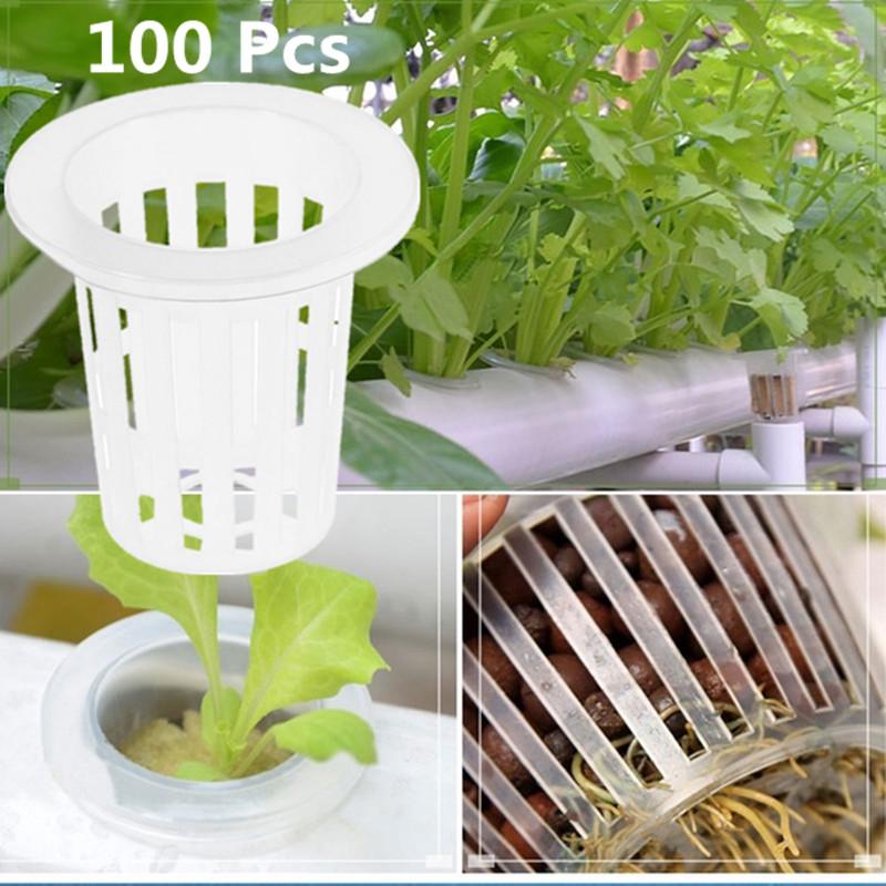 Cestas para cultivo hidropónico de orquídeas, 100 Uds.