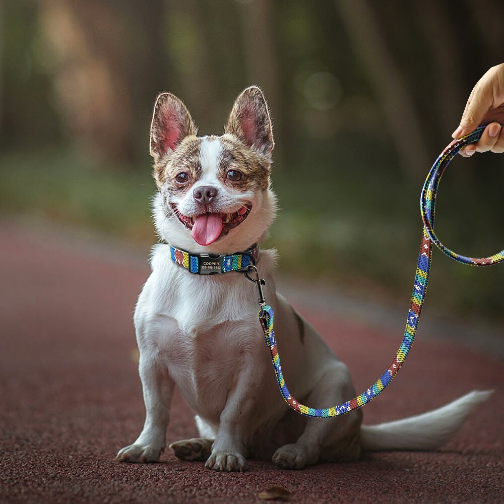 5 farver hundesnor reb nylon trykt hvalp hund gå løbende træningsbånd bly til små mellemstore hunde pitbull