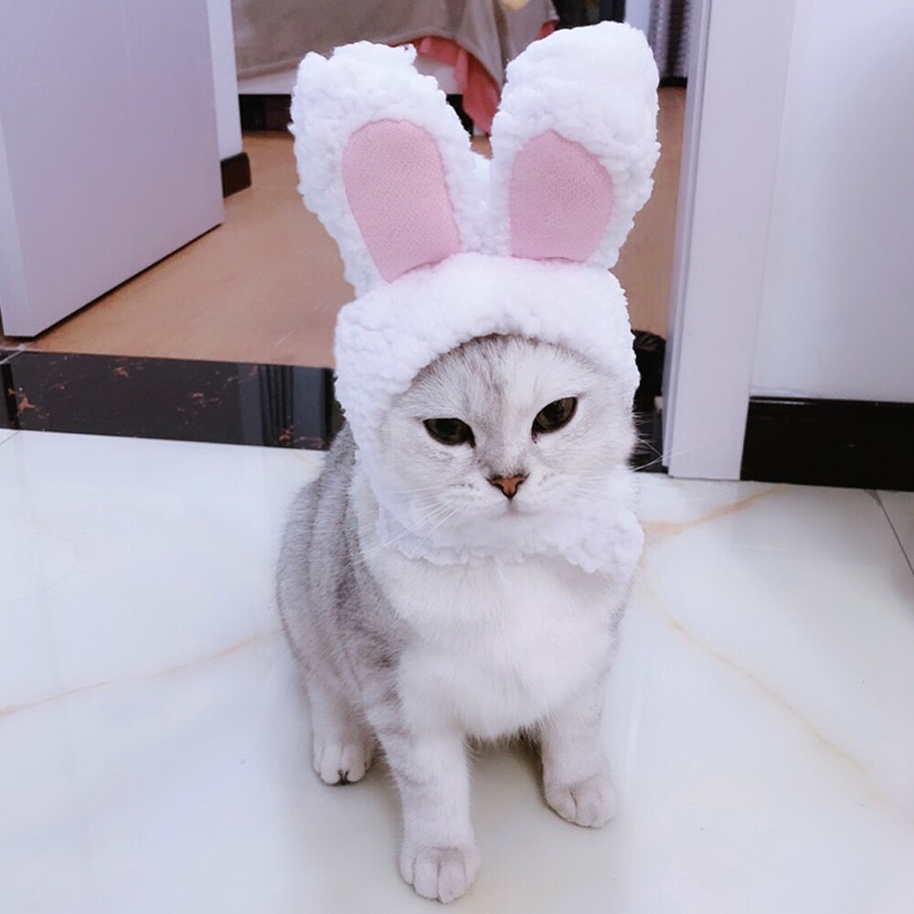 Costume Cosplay animal animal chat chaton | Drôle, chapeau bonnet lapin, chapeau chat mignon, Halloween noël vêtements chapeaux, petits chiens, accessoires