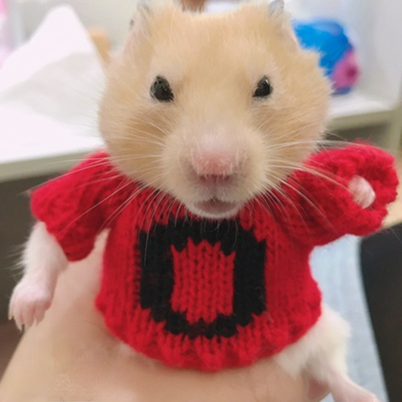 Streifenhörnchen Kleidung Streifenhörnchen Kleidung Hamster Kleidung Mini Hütte Kleine Hamster Winter Handgemachte Wolle Kleidung