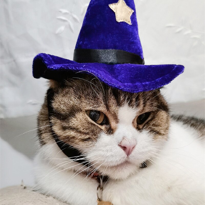 Kerst Dierbenodigdheden Halloween Ster Bells Katten Europa En Amerika Cross-Dressing Wizard Hoed Katten En Honden Bunny hoeden