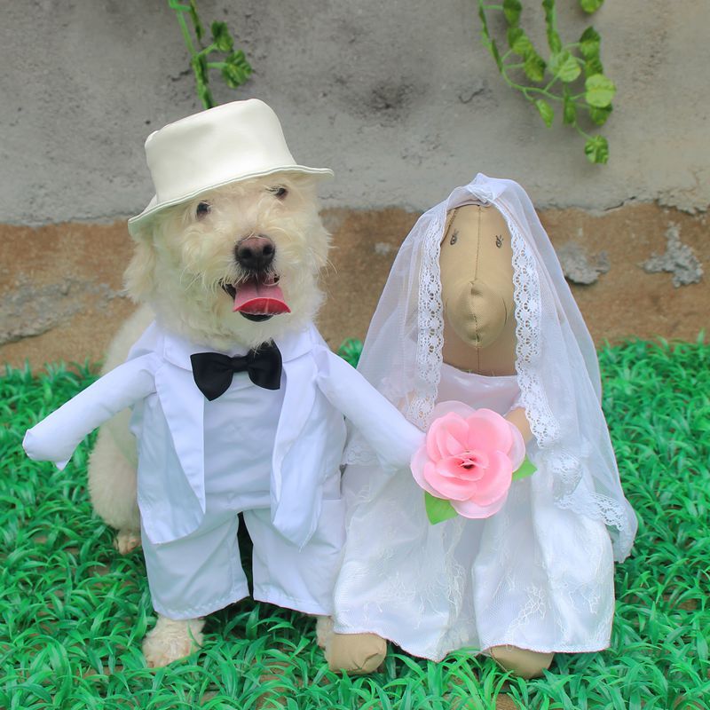[MPK Store] Wedding Gown for Dogs, Beautiful Dog Wedding Dress, Pet Wedding Costume