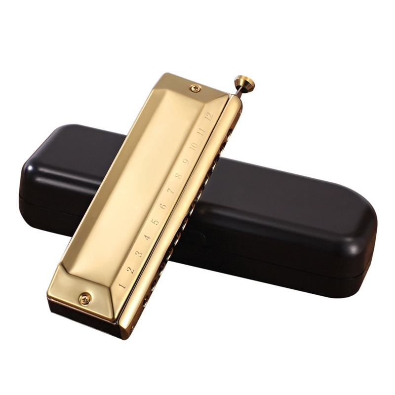 Harpe Harmonica à 12 trous, 48 tons, diatonique, Key C, bleu, Jazz, orgue buccale, éducation précoce, entraînement au sens de la musique