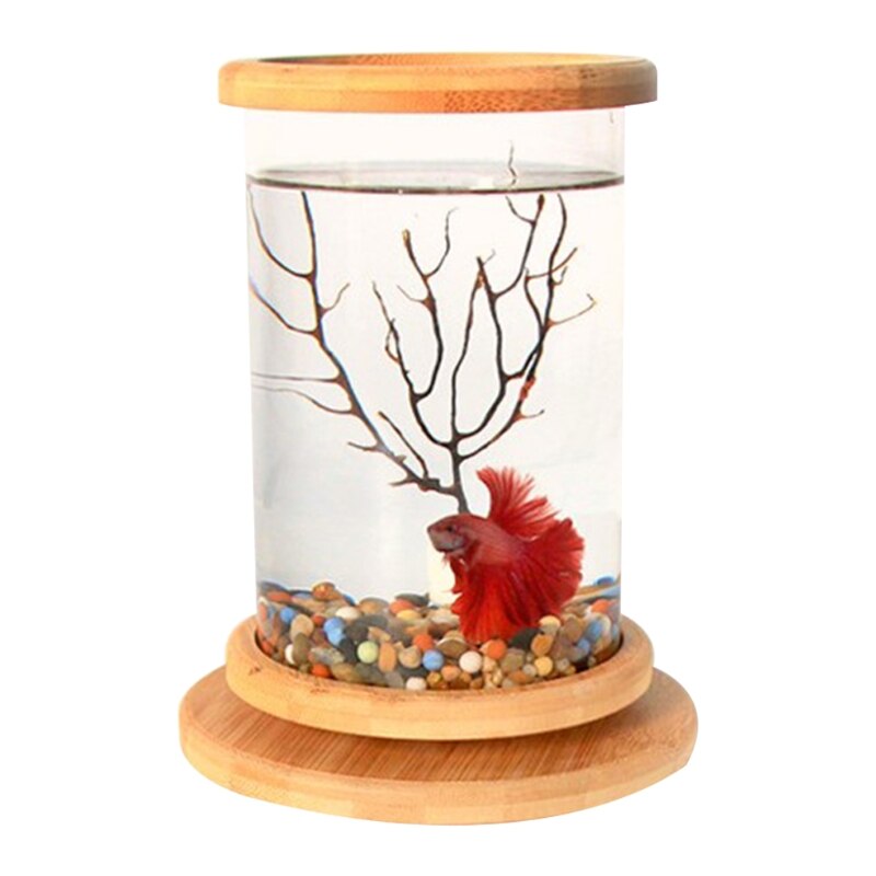 Mini pecera de escritorio con marco de bambú, kit de iniciación para pecera, giratoria Manual de 360 °, decoración perfecta para el hogar y la Oficina: Iron tree with light