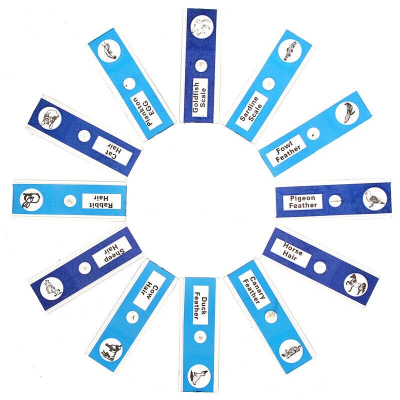 12/48Pcs/Set Prepared Microscope Slides Specimen Animals Insects Plants Flowers Sample: Blue