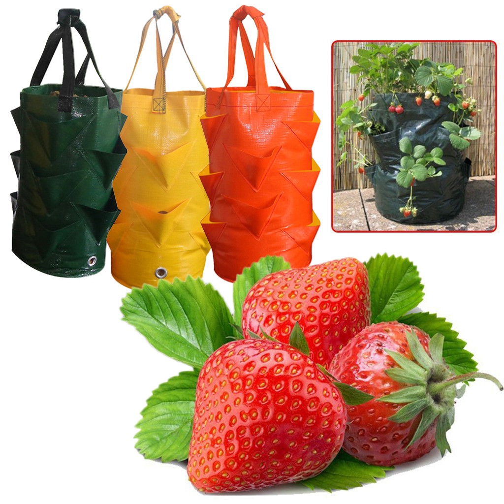 Multi-bouche conteneur sac planteur poche plante en croissance Pot côté produit pour jardin accessoires conteneur plante sac de culture