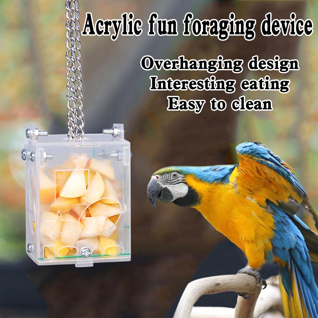 Parrot Foraging Device Educational Toys Parrot Acrylic Puzzle And Fun Feeding Box Assembly Bird Toys Foraging Device