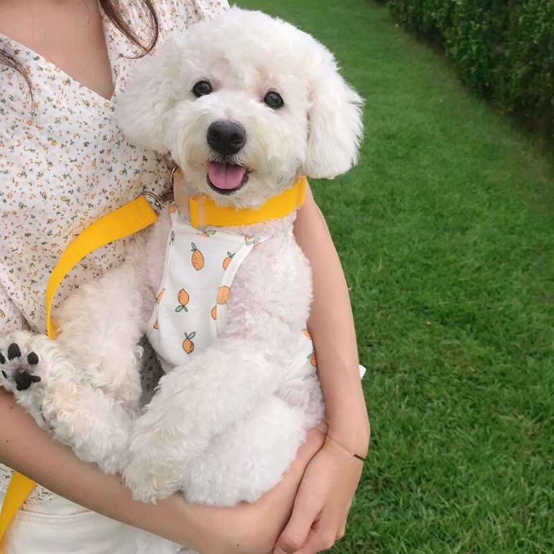 Summer Dog Clothes 2 Styles Orange Print Pet Dog Dresses Vests for Small Dogs Chihuahua Puppy Clothes Life Vest Suit for Cat