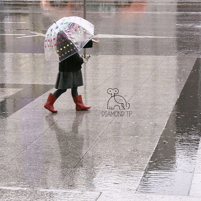 Parabrisas para lluvia, paraguas transparente, paraguas Kawaii para chico, Mini paraguas pequeño, fácil, umbrelato, fijación S014