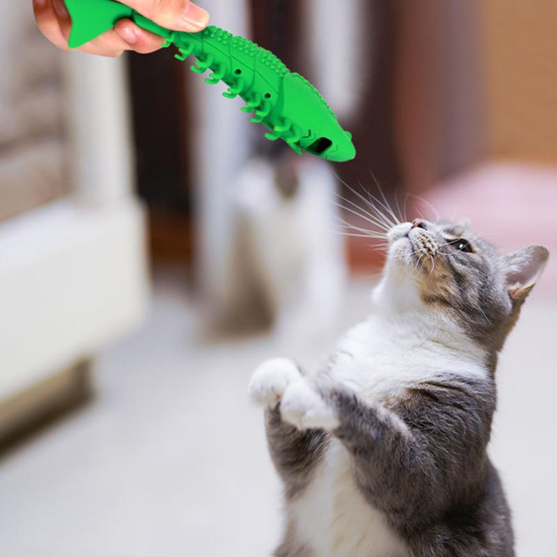 Husdjur katt leksak räkor form katt tandborste tandborste leksak med kattmynta husdjur leksaker räkor bita rena tand husdjur rengöringsmateriel