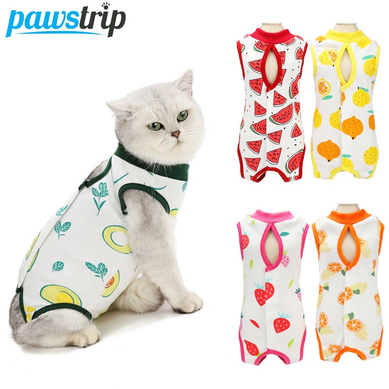 Tenue de stérilisation Anti-léchage pour chat, gilet respirant pour soin des animaux de compagnie, après récupération, pour le sevrage