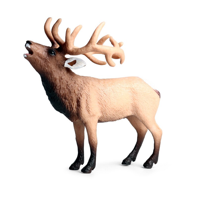 Rangifer Tarandus Terraenovae Reindeer Figure Cervidae Animal Deer Toy Collector Model Decor Figurines Educational Model