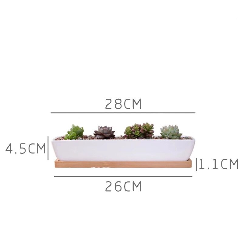 Hvid porcelæn sukkulenter potte grønne planter urtepotte med bambus bakke kontor bordplade planter kortfattet vase boligindretning: J