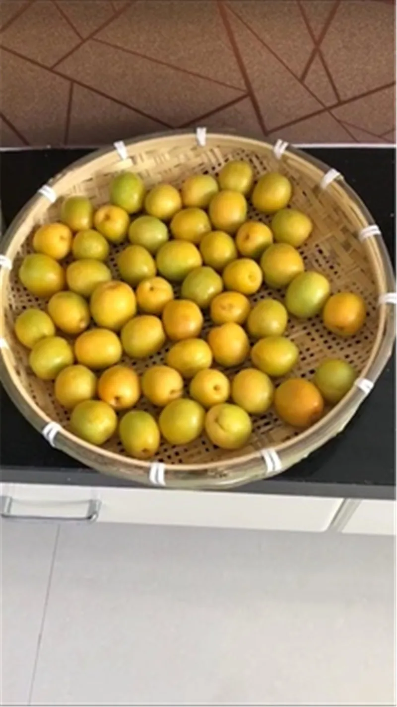Cesta de bambú hecha a mano, tamiz de tejido de drenaje, bandeja de frutas, cestas de comestibles, redonda e irrompible, cesta de natural, cesta de almacenamiento