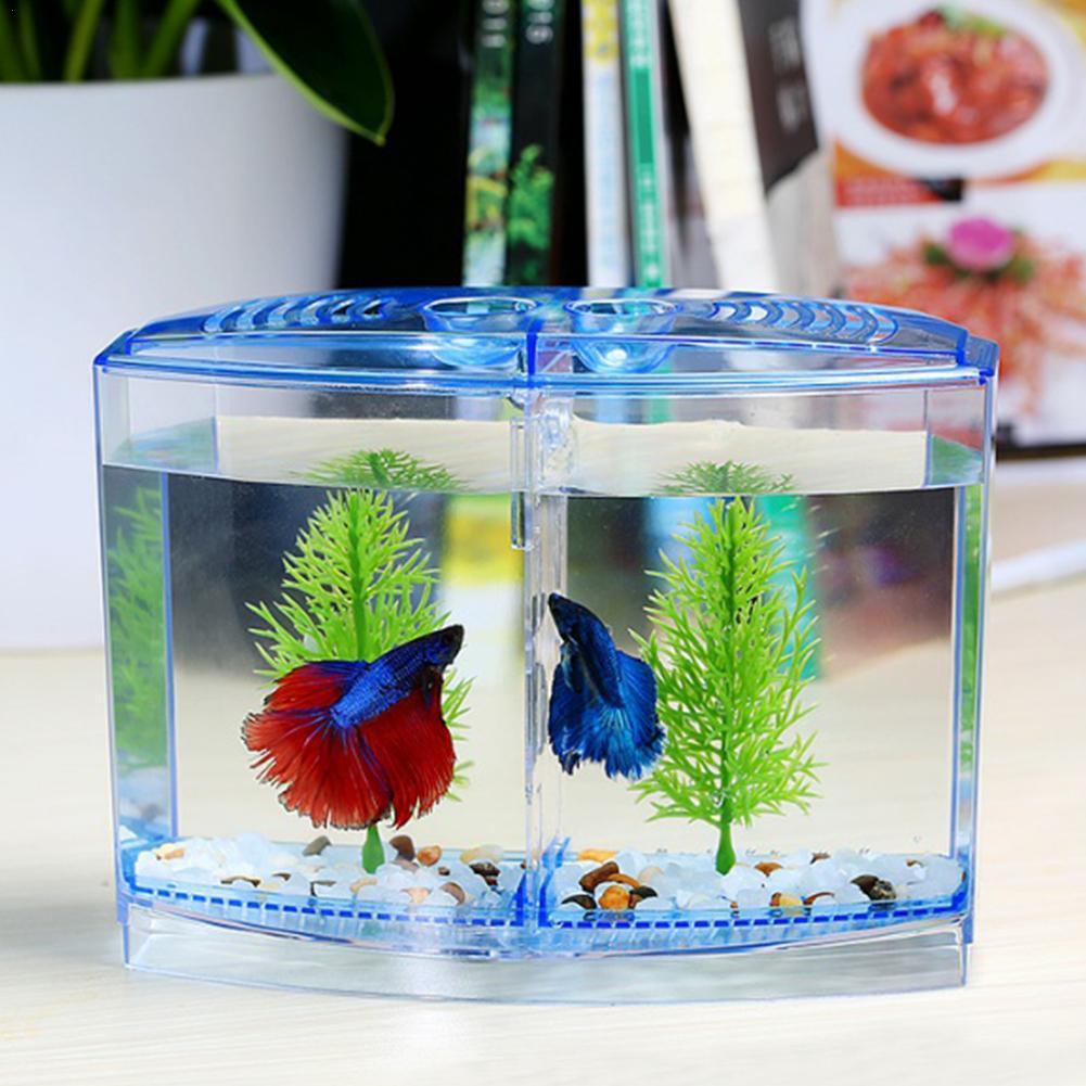 Betta-caja de aislamiento de peces para acuario, recipiente para cría de peces, P4G7