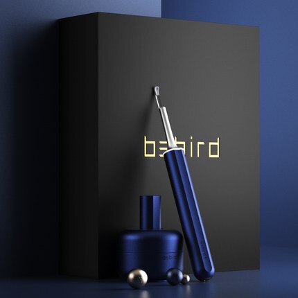 Bebird – embout d&#39;oreille X17 pro, Endoscope visuel intelligent, 300W, Mini caméra, boroscope, avec Base de chargement magnétique, Original: Blue-Bebird X17 pro