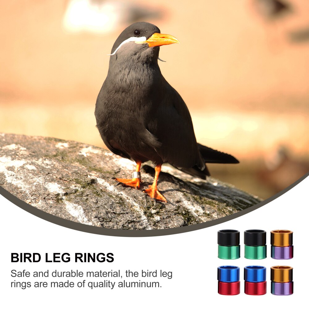 12Pcs Blank Chicken Leg Bands Bird Chicks Ducks Poultry Clip on Leg Rings