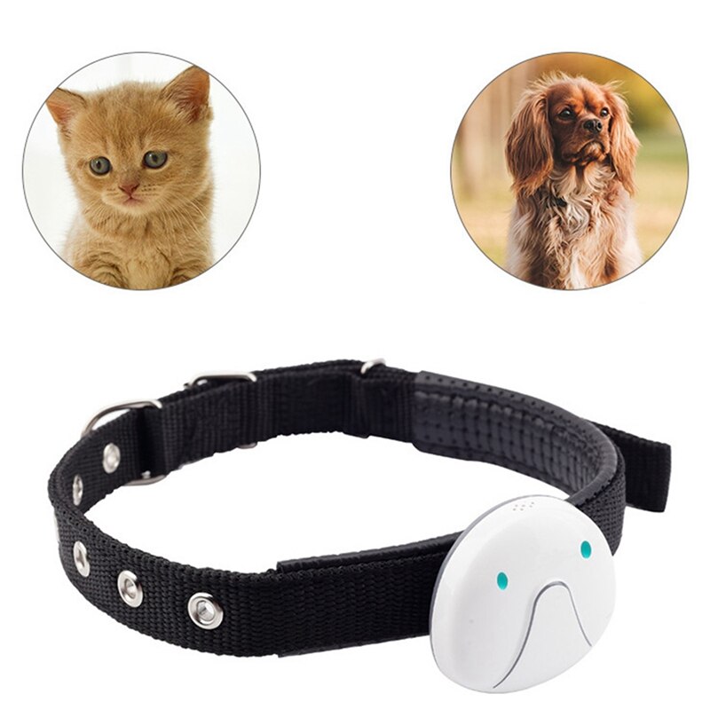 Huisdier tracker, waterdichte honden gps halsband, wifi realtime tracking, afgelegen geo-fence, langdurige standby huisdier gps