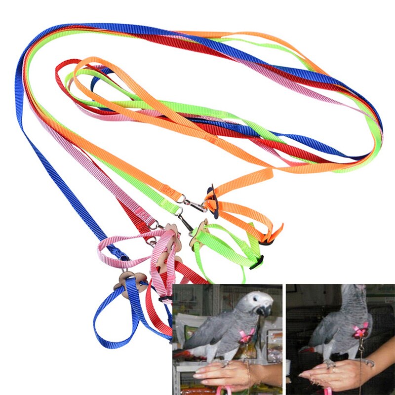 Verstelbare Parrot Leash Bird Harness Training Touw Outdoor Vliegende Touw Voor Valkparkiet Kleine Vogels Dierbenodigdheden Multi Kleur