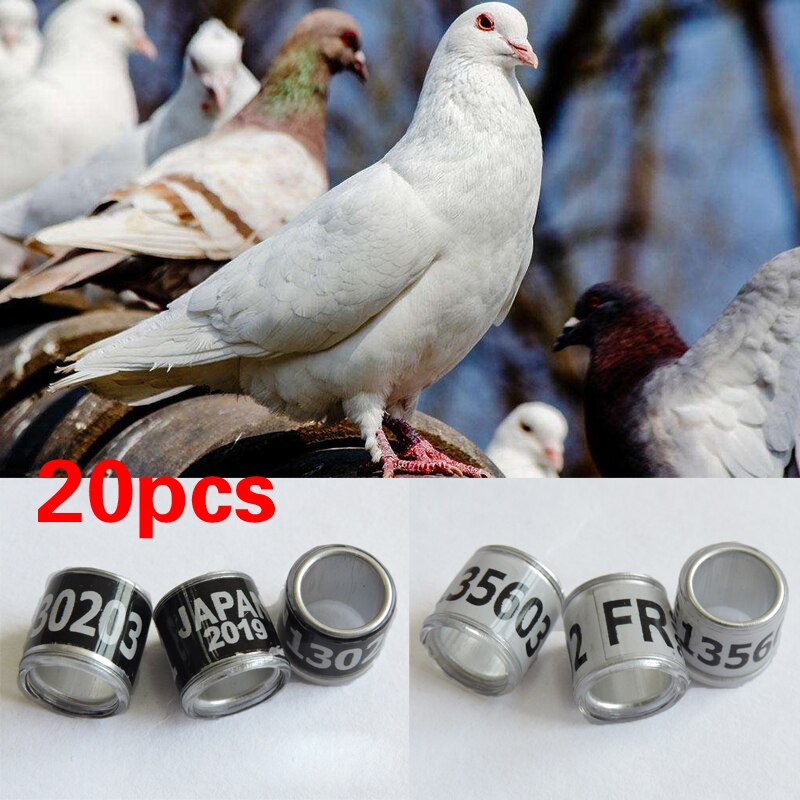 20PCS Bird Parrot Racing Pigeon Leg Foot Rings Digital Bird Foot Ring Supplies Accessories Durable Bird Training Tools