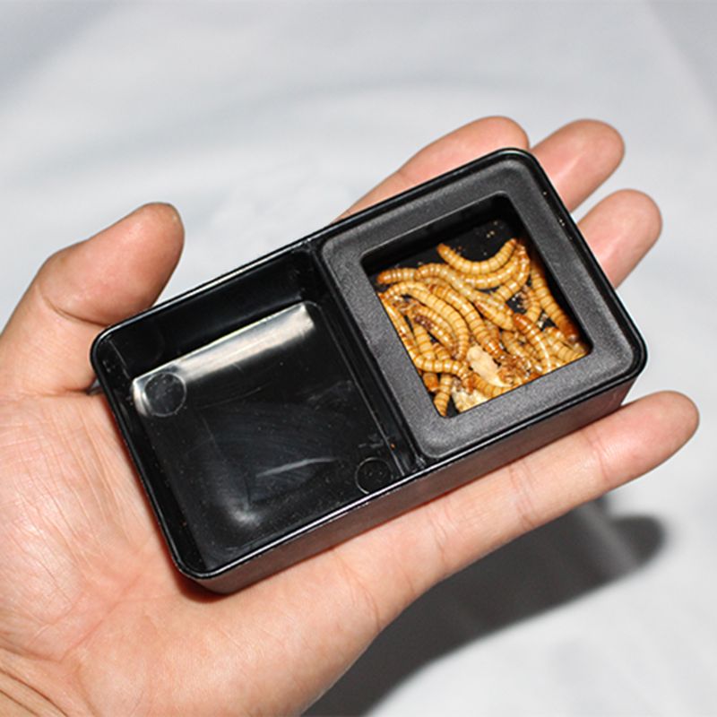 Terrario de caja de comida de agua de plástico negro para alimentar a las tortugas de insectos
