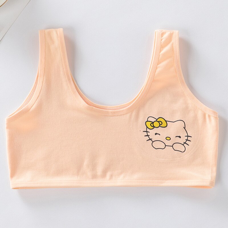 Girls Underwear Development Period Vest 12-16 Years Old Junior High School Students Bras Kids Underwear for Girls: Flesh