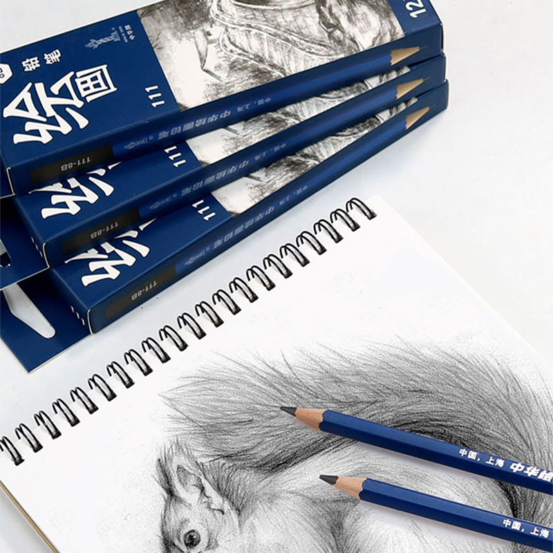 Crayon de croquis noir, crayon de dessin en bois H/2H/3H/4H/5H/6H/HB 2/3/4/5/6/8/10/12B, fournitures de papeterie artistique 12 pièces