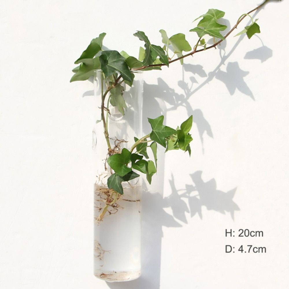 Plantas Hidropônicas Vaso De Flores, Decorações Para Casa, Casa Artesanato De Vidro, Vaso De Flores, Recipiente De Plantas: Cinza claro